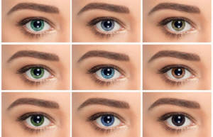 Quel type de lentilles de contact choisir pour ses yeux ?